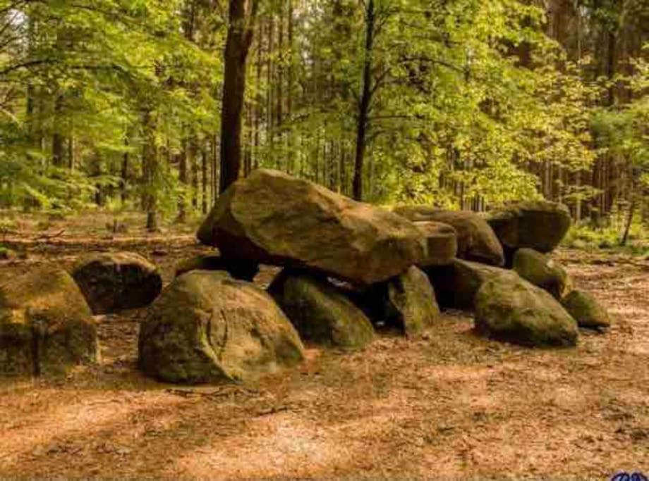 Chalet Midden In De Natuur! Anloo Zewnętrze zdjęcie
